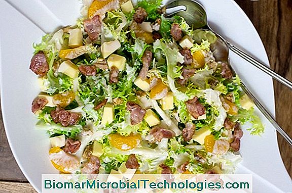 Frisée: Ein Salat Mit Einem Subtilen Geschmack