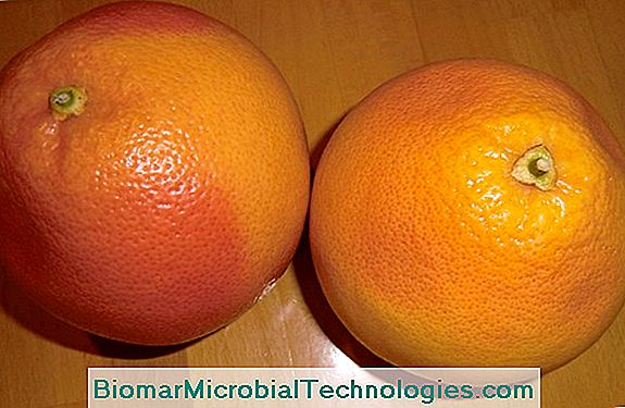 Clementine: Eine Heilung Von Vitamin C