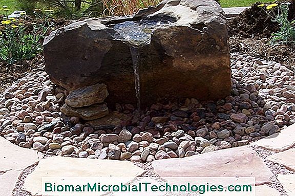 Set Up A Bubbling Fountain For The Murmur Of Water