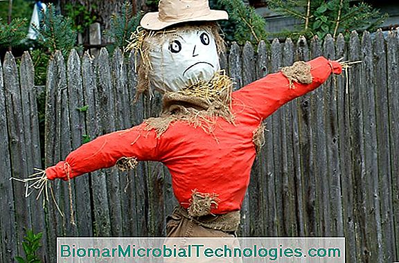 Video How To Make A Scarecrow Step By Craft Project Video How To Make A Scarecrow Step By Craft Project