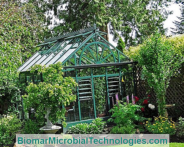 Choosing Your Garden Greenhouse