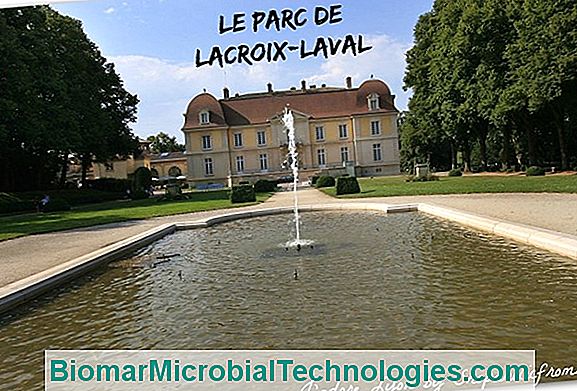 Park Domaine De Lacroix-Laval - Rhone (69)