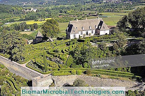 A Vézac-Dordogne-I Marqueyssac Kertjei (24)