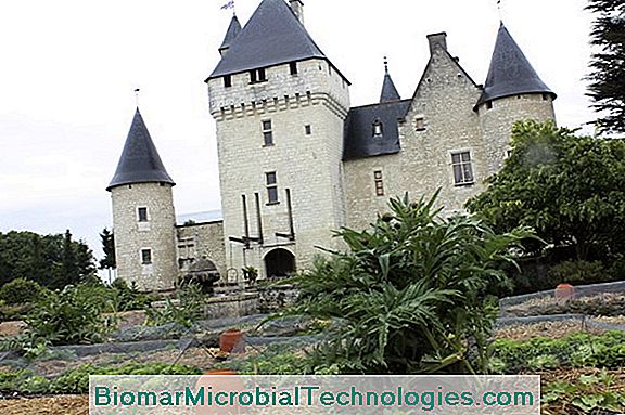 Fairy Tales Gardens - Castelul Rivau - Indre-Et-Loire (37)