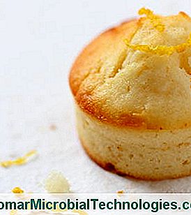 1357207807muffinallegecococitron