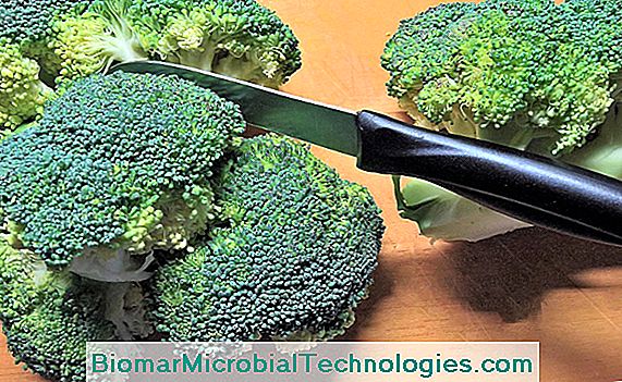 Gotowanie kapusty broccoli (Brassica oleracea italica)