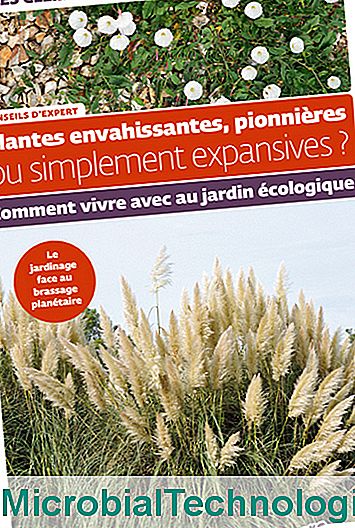 Inwazyjne, pionierskie lub po prostu ekspansywne rośliny Gilles Clément i Brigitte Lapouge-Déjean
