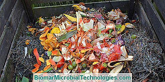 Jak Zrobić Własny Kompost?