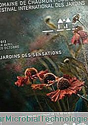 Internationales Festival der Chaumont-Gärten 2013