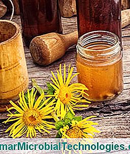 Aunea: Therapeutic Virtues, Benefits And Uses