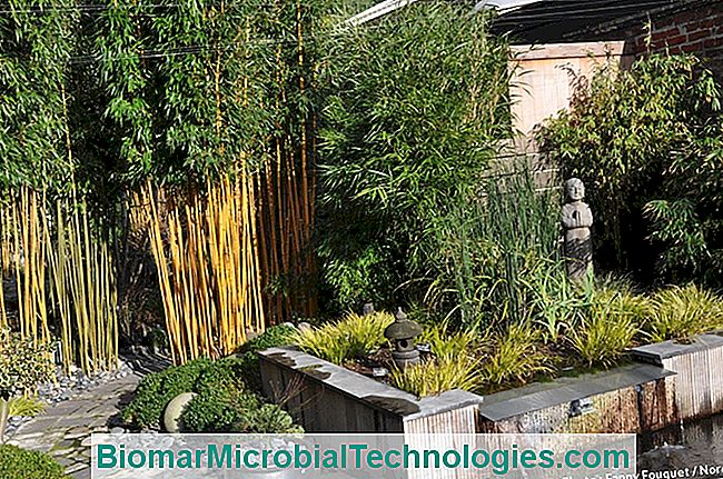 10 Jardines japoneses para visitar en Francia - para
