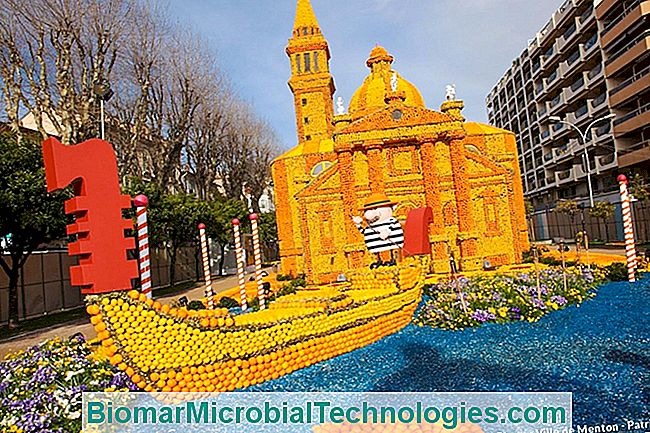 ¡Todo en Menton para el Festival del Limón! - para ¡Todo en Menton para el Festival del Limón!: menton