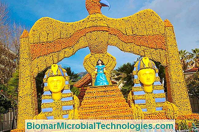 ¡Todo en Menton para el Festival del Limón! - limón ¡Todo en Menton para el Festival del Limón!: festival