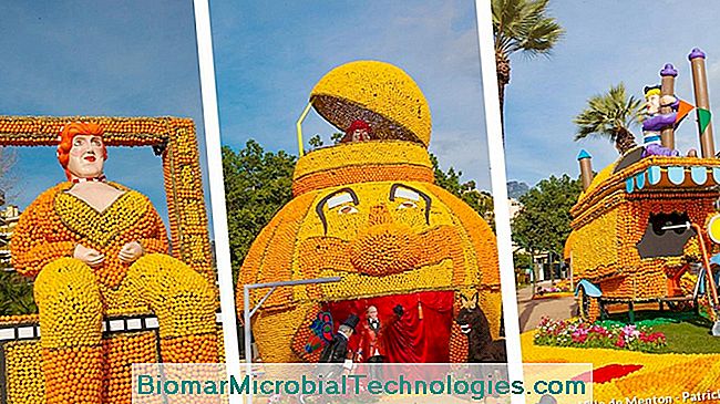 ¡Todo en Menton para el Festival del Limón! - limón ¡Todo en Menton para el Festival del Limón!: para