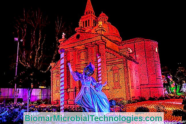 ¡Todo en Menton para el Festival del Limón! - festival ¡Todo en Menton para el Festival del Limón!: festival