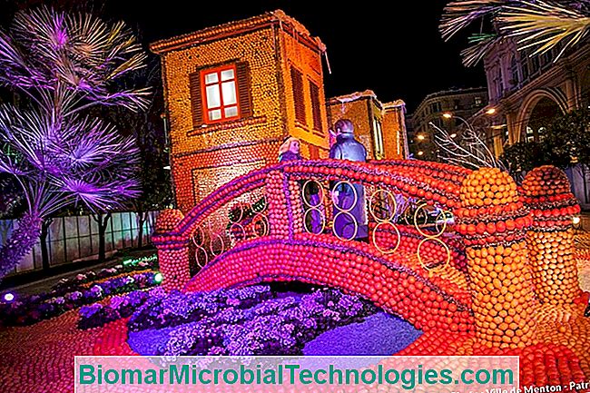 ¡Todo en Menton para el Festival del Limón! - menton ¡Todo en Menton para el Festival del Limón!: festival