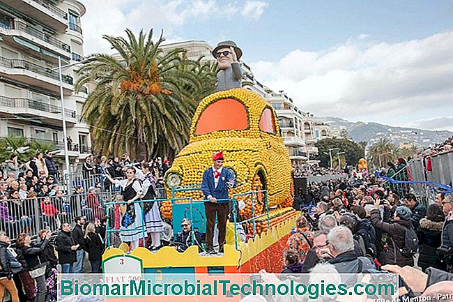 ¡Todo en Menton para el Festival del Limón! - para ¡Todo en Menton para el Festival del Limón!: todo