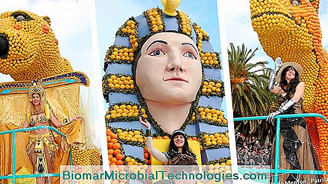 ¡Todo en Menton para el Festival del Limón! - limón ¡Todo en Menton para el Festival del Limón!: para