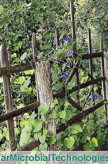 I giardini di Albarède, recinti di castagno