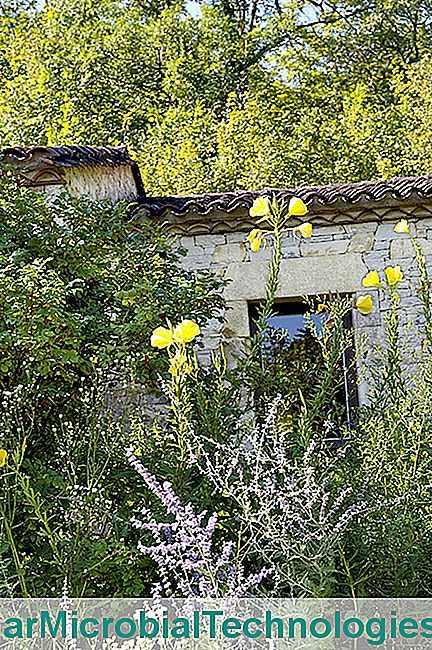I giardini di Albarède, il cottage in mezzo alle aiuole