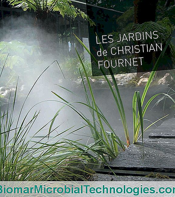 Cover of The Gardens of Christian Fournet