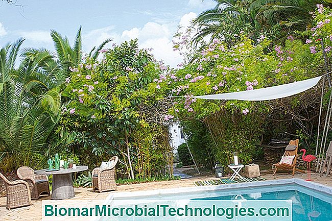 Mobiliario: el trenzado invade el jardín. - natural