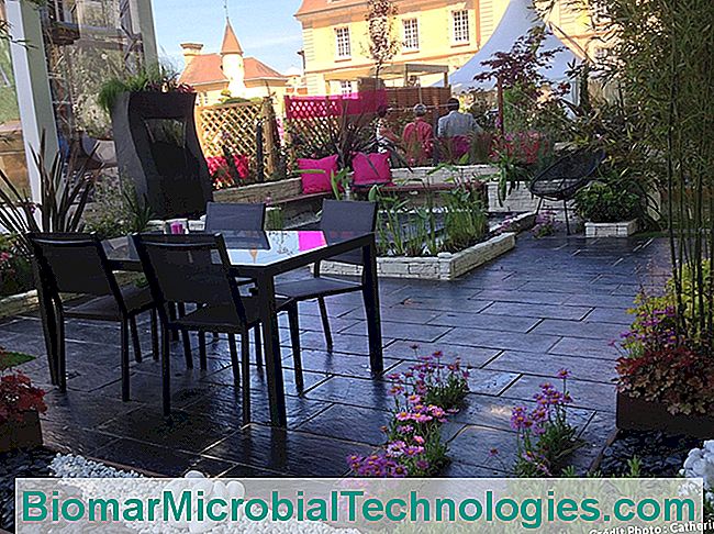Una terraza jardín que combina lo mineral y lo vegetal. - jardín diseño de jardín