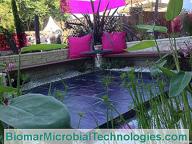 Una terraza jardín que combina lo mineral y lo vegetal. - mineral diseño de jardín