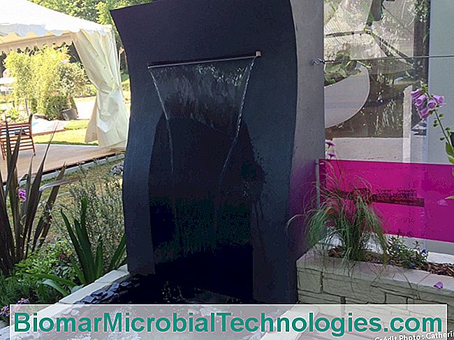 Una terraza jardín que combina lo mineral y lo vegetal. - vegetal fuente de agua