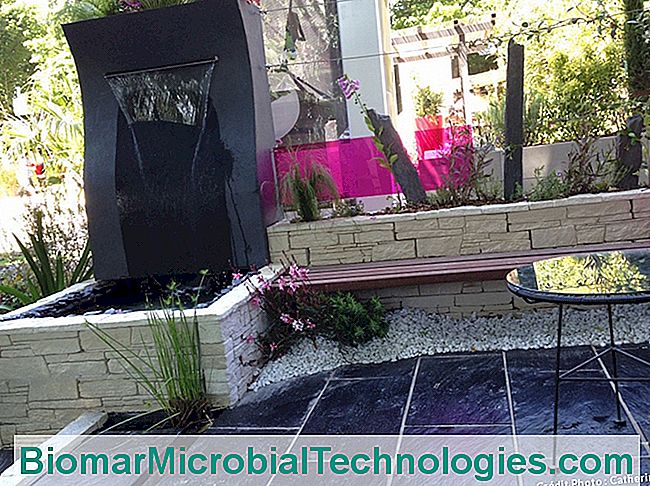 Una terraza jardín que combina lo mineral y lo vegetal. - para diseño de jardín