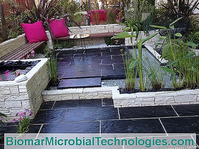 Una terraza jardín que combina lo mineral y lo vegetal. - mineral diseño de jardín