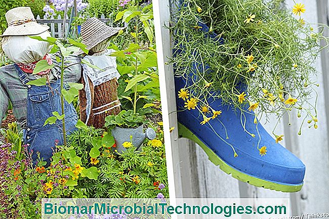 Ideas para el jardín. - reciclaje reclamo de jardin