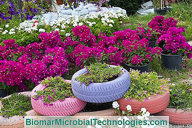 Ideas para el jardín. - para Llanta de recuperación de jardín.