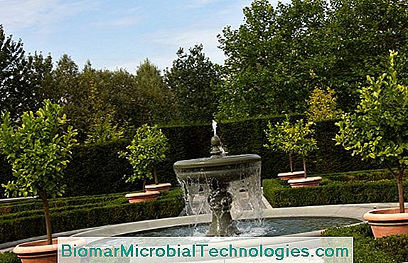 Was Ist Bordeauxmischung? Wie Benutzt Man Es Im Garten? 💫 Der Ort Des