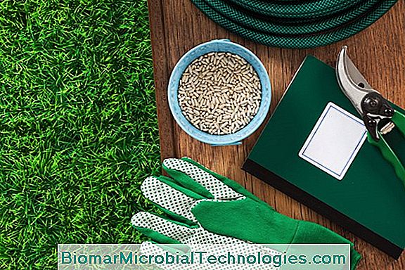 Get A Nice Lawn How To Sow Your The Site Of Get A Nice Lawn How To Sow Your The Site Of