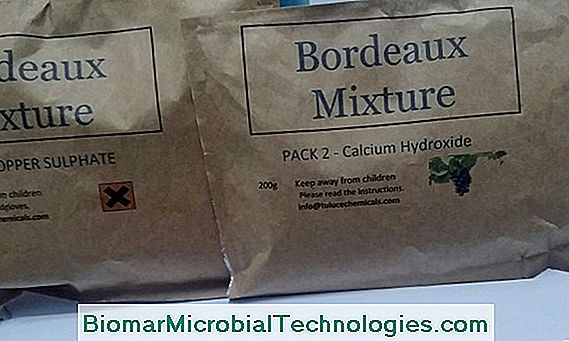 What Is Bordeaux Mixture How To Use It In Garden 