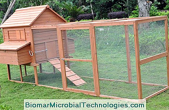 How To Make A Wooden Henhouse For The Garden Site Of How To Make A Wooden Henhouse For The Garden