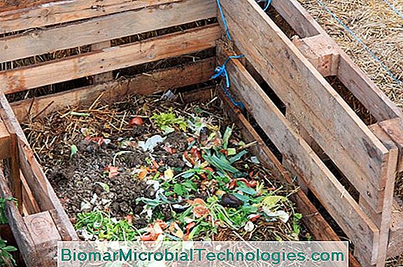 Segar Residuos Y Compost, ¿Son Compatibles?