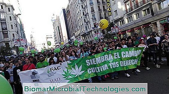 Siembra Sobre La Marcha