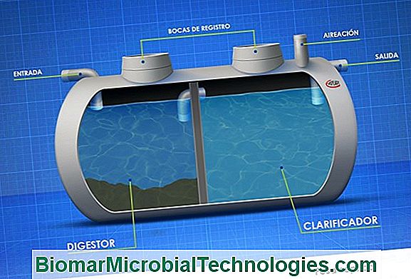 Fosa Séptica De Todas Las Aguas: Operación, Tamaño, ¿Qué Costo?