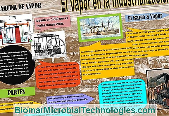 Fechas: Beneficios Y Virtudes.