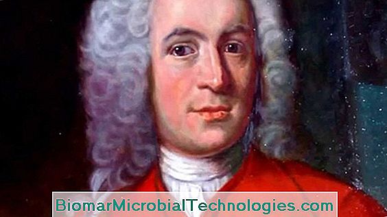 Carl Von Linné, U Podrijetlu Binomialne Nomenklature Biljaka