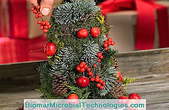 Hoe Maak Je Een Ecologische Kerstboom In Gerecyclede Materialen?
