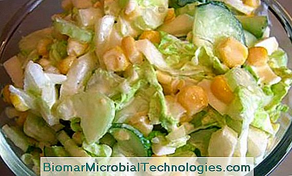 Salată: Este Plină De Minerale Și Vitamine