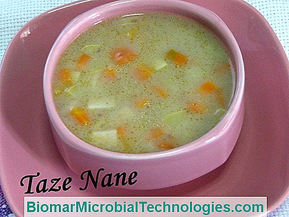 Taze Meyve Minestrone