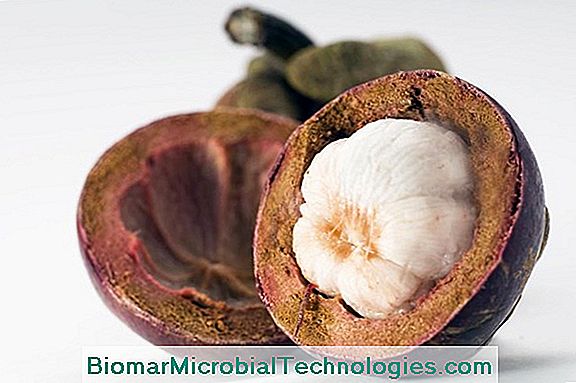 Mangosteen (Garcinia Mangostana) Superfruit Pazarlama