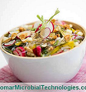 salad with vermicelli