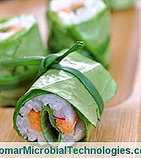 Lettuce Makis With Crunchy Vegetables