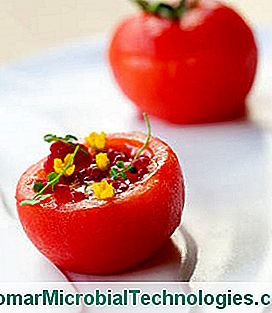 tomate framboesa gaspacho