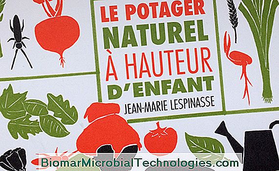 The natural vegetable garden up to child of Jean-Marie Lespinasse